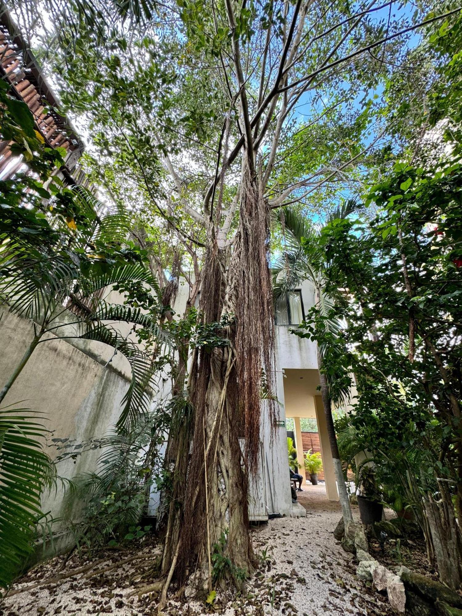Starfit Hotel Boutique Beachclub, Spa & Gym Included Tulum Ngoại thất bức ảnh