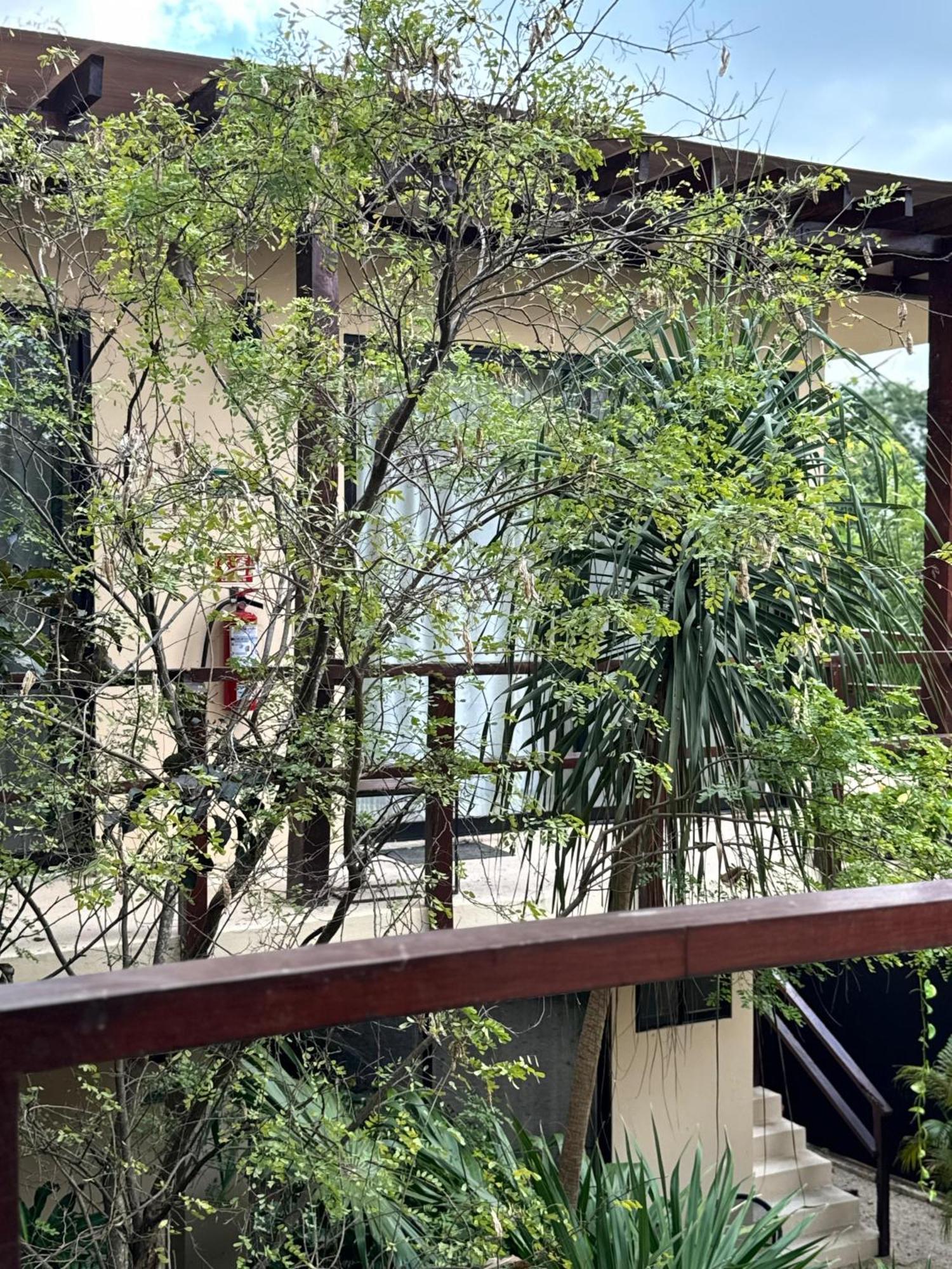 Starfit Hotel Boutique Beachclub, Spa & Gym Included Tulum Ngoại thất bức ảnh